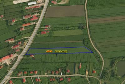 Teren intravilan în suprafață de 7.580 mp | DN65 Albota | Lângă OMV - 2