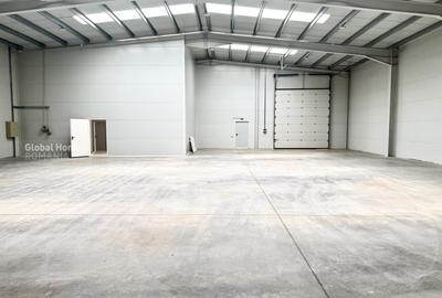 OPORTUNITATE DE INVESTITIE | HALA IN PARC INDUSTRIAL - 3