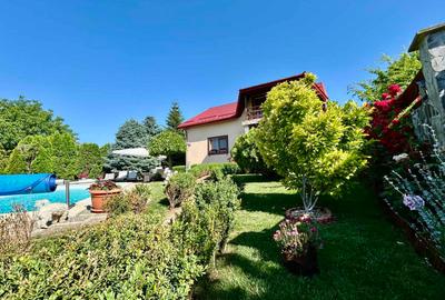 Vila de lux 310 mp construiti, cu piscina 40mp, Bucium Iasi, 1500mp teren, garaj foisor livada - 47