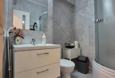 Spațiu potrivit pentru activități profesionale | Valea Adâncă – Nicolina | 270 € - 3