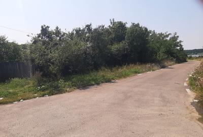 PROPRIETAR Teren stradal ILFOVENI - 10