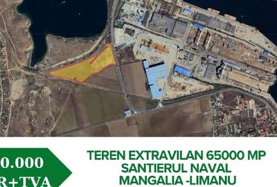 Teren agricol extravilan de 65000 mp, în Limanu