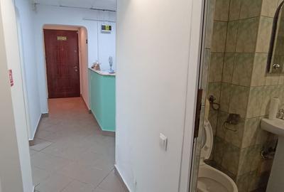 Vanzare apartament 3 cam la parter cu balcon stradal zona Parc Sebastian sect 5 - 3