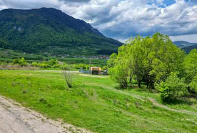 Teren intravilan 1273 mp zona Bran(Tohanita) la 50 m de drumul asfaltat - 2