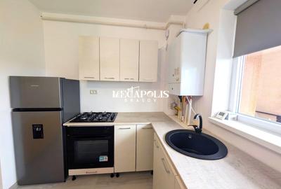 Studio Sanpetru Mobilat Utilat - 2