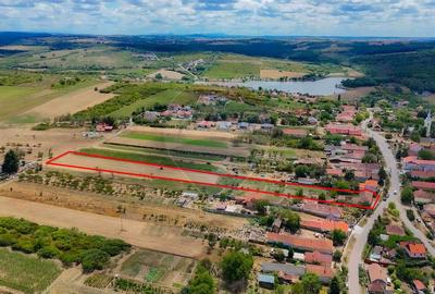 Teren Construcții intravilan de 6384 mp, în Paleu