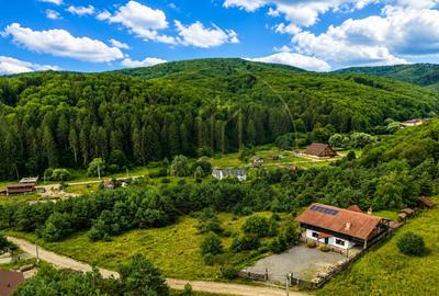 Refugiu în inima naturii | Proprietate premium în Pădurea Bogății - 2