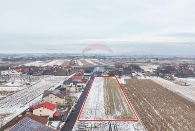 Oportunitate investițională – Teren intravilan 5.646 mp, Stupini - 2