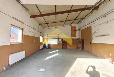 Hala 250 mp de inchiriat in zona industriala Vladimirescu - 2