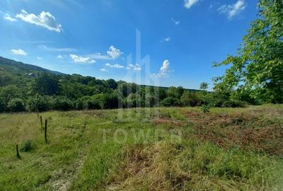 Teren în Fântânele – 3.673 mp, pârâu si cadru natural  deosebit - 14