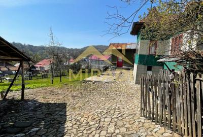 VANZARE CASA  TEREN - 5