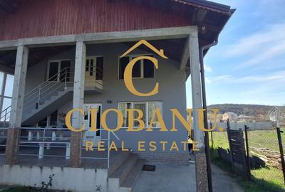 Casa de vanzare in Leamna de Jos - 2