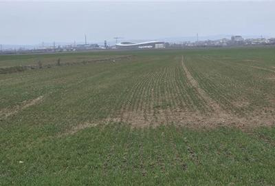 Teren agricol extravilan de 7900 mp, în Industrială