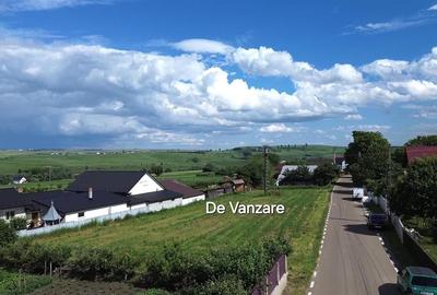 Teren Intravilan 1699 mp - Moara - Suceava De vanzare - 6