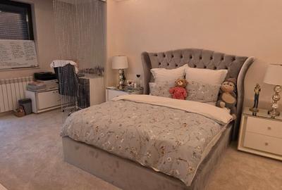 Vila zona Iancu Nicolae - 12