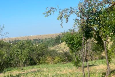 Teren intravilan Valea Mare | 1486 mp | Utilități | 13,5 €/mp - 1