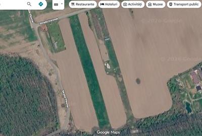 Teren 9247 mp - Ghermanesti - Snagov - 3