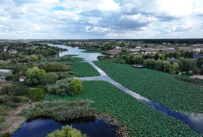 Vila în Snagov cu ieșire la lac/ponton si zona de relaxare - 6