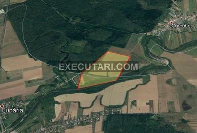 Teren agricol extravilan de 110000 mp, în Balta Doamnei