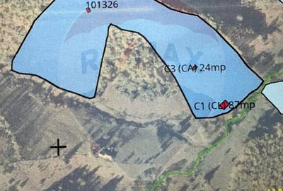Teren 38,704mp Sirnea | 2.000 mp Intravilan | 36,704 Extravilan - 4