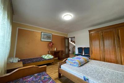 Cabana/Vila de inchiriat Valea Budului, Margineni - 12