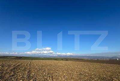Teren agricol extravilan de 5700 mp, în Cristur