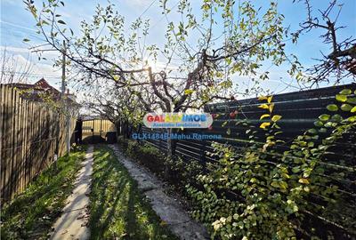 Casa individuala (P+1+M), Balotesti, Martha Bibescu - 4