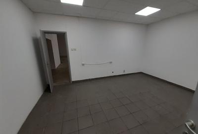 Zona bd. Th. Pallady - hala si birouri 550mp - 12