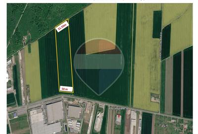 Investitie vanzare teren intravilan 26.666mp la DN3| Vizavi de Makita| - 1