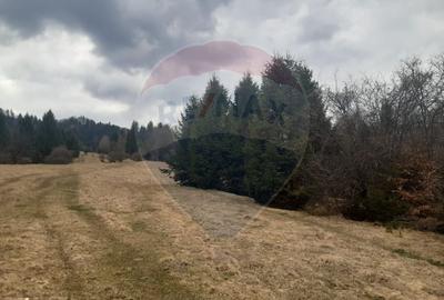 Teren Rasnov, Soseaua Predealului DN73B - 7