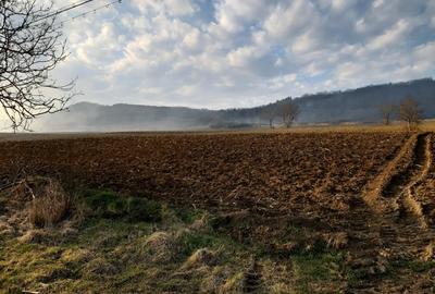 Investitie ideala in Coroi! Constructii cu 4.6 ha teren. - 15