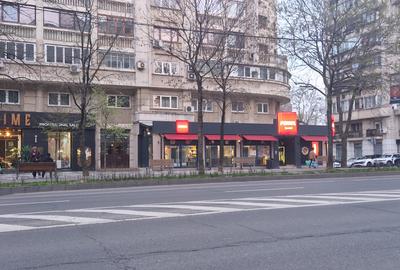 Decebal- Dristorului- Alba Iulia, 230  mp   pret 5.000 euro, - 7