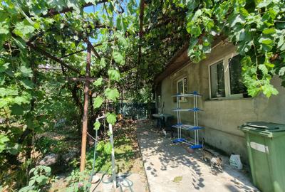 Casă P + teren 1.750 mp,ideală rezidență/ activitate comercială / spatii depozit - 14