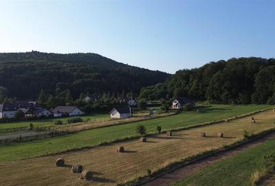 TEREN EXTRAVILAN 5.886 MP ÎN BUCOVINA BUCȘOAIA | ZONĂ DE MUNTE, L - 2