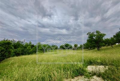 Teren agricol intravilan de 7267 mp, în Central