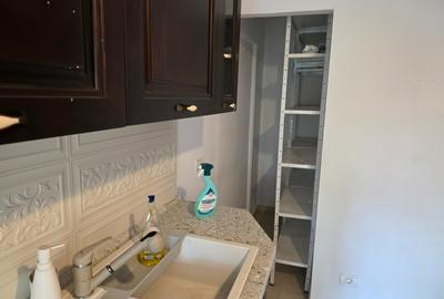 Apartament 4 camere | 100 mp | Renovat | Parcul Plumbuita – Doamna Ghica - 16