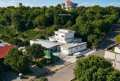 Spațiu comercial, 721 mp în Central