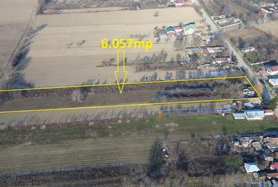 Teren 6.057 mp in Radulesti cu deschidere 30 metri la asfalt - 4