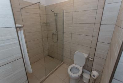 Apartament 2 camere bloc Stefan Building Lake - 7