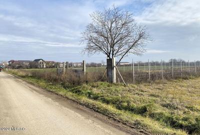 Afumati - Str. Iasomiei, 2409 MP, stradal, intravilan, deschidere 12 m - 1