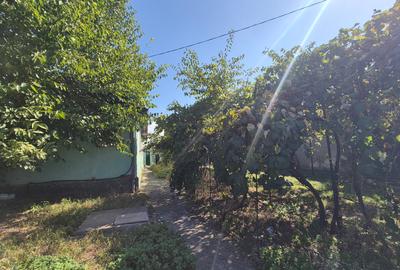 Teren Intravilan, 2853mp, Costinesti - 10