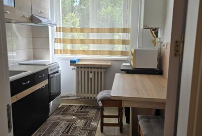 Inchiriere apartament 2 camere zona Tatarasi-Dispecer - 12