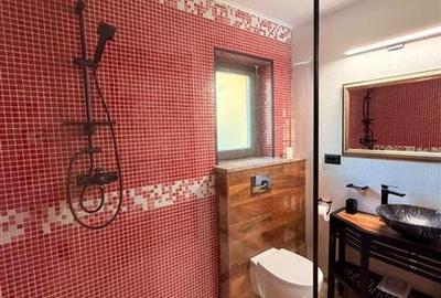 Vila de lux - 4 camere , teren 810mp teren,  Sanpetru - Brasov - 10