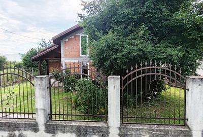PROPRIETATE DEOSEBITA-CASA & LIVADA-SAT MANGA, COM. VOINESTI, JUD. DAMBOVITA - 6