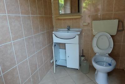 PIATA  GIULESTI  inchiriere casă SINGUR CURTE,400mp teren - 27
