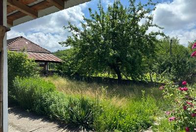 Amarasti Nemoiu in apropiere de Dragasani si Valcea - 11