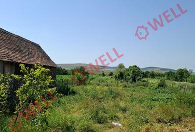 DE VÂNZARE TEREN INTRAVILAN ÎN BĂLĂUȘERI - 3