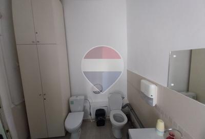Casă / Vilă cu teren de inchiriat Km 0 langa Primarie - 14