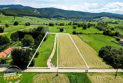 Teren Construcții intravilan de 2900 mp, în Lunca Mărcușului