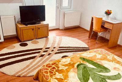 Garsoniera la curte Colentina - Fundeni, foarte mare (54 mp), CENTRALA, mobilată - 1